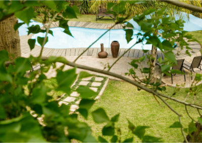 Oakdene Guest House Swimming pool through tree leaves