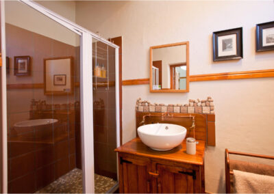 Oakdene Guest House basin and shower