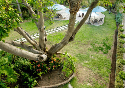 Oakdene Guest House garden