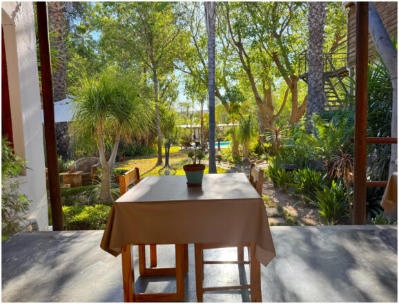 Table setting with garden view at Oakene Guest House Oudtshoorn